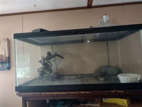 queens Full high quality <strong>reptile</strong> kit for 40g breeder <strong>tank</strong> or any size. . Craigslist reptile tank